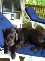 Img 092920151108 14996 1fdfsg5 web