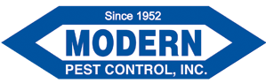 Modern web