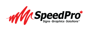 Speedprologo web