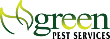 Green listen360 web