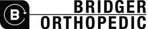 Bridger logo web