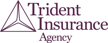 Tridentinslogo 2020 v cabernet web