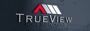 Trueview 3d  2  web