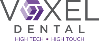Icon vxl logo web